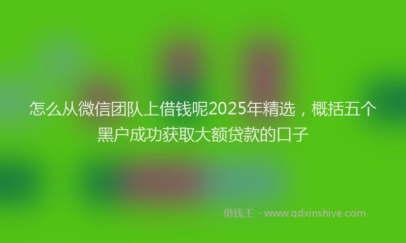怎么从微信团队上借钱呢2025年精选，概括五个黑户成功获取大额贷款的口子