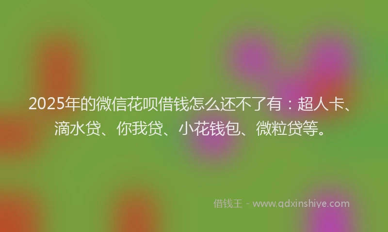 2025年的微信花呗借钱怎么还不了有：超人卡、滴水贷、你我贷、小花钱包、微粒贷等。