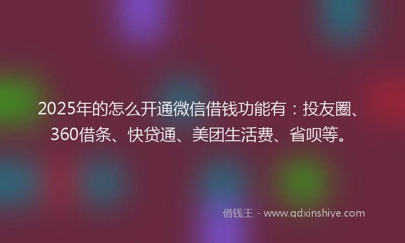 2025年的怎么开通微信借钱功能有：投友圈、360借条、快贷通、美团生活费、省呗等。