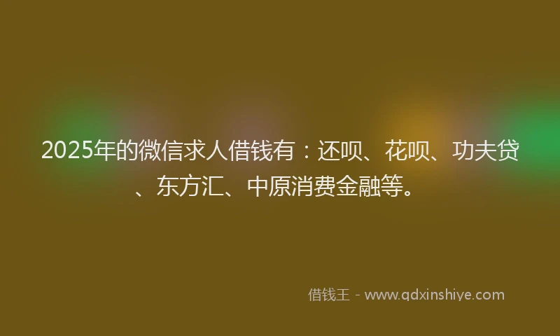 2025年的微信求人借钱有：还呗、花呗、功夫贷、东方汇、中原消费金融等。