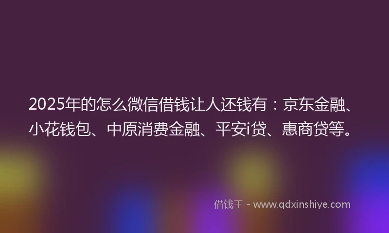 2025年的怎么微信借钱让人还钱有：京东金融、小花钱包、中原消费金融、平安i贷、惠商贷等。