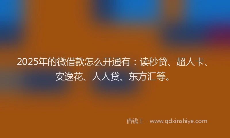 2025年的微借款怎么开通有：读秒贷、超人卡、安逸花、人人贷、东方汇等。