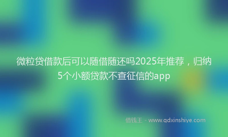 微粒贷借款后可以随借随还吗2025年推荐，归纳5个小额贷款不查征信的app