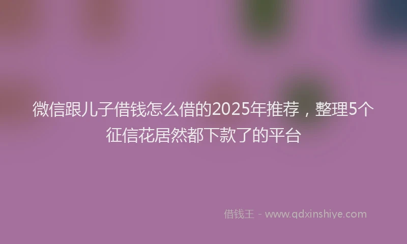 微信跟儿子借钱怎么借的2025年推荐，整理5个征信花居然都下款了的平台