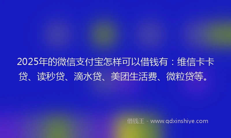 2025年的微信支付宝怎样可以借钱有：维信卡卡贷、读秒贷、滴水贷、美团生活费、微粒贷等。