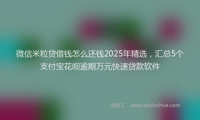 微信米粒贷借钱怎么还钱2025年精选，汇总5个支付宝花呗逾期万元快速贷款软件