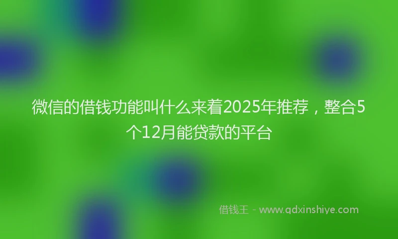 微信的借钱功能叫什么来着2025年推荐，整合5个12月能贷款的平台