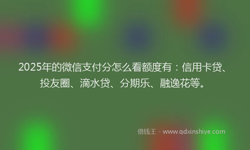 2025年的微信支付分怎么看额度有：信用卡贷、投友圈、滴水贷、分期乐、融逸花等。