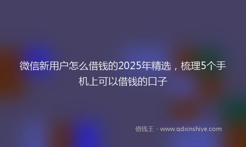 微信新用户怎么借钱的2025年精选，梳理5个手机上可以借钱的口子