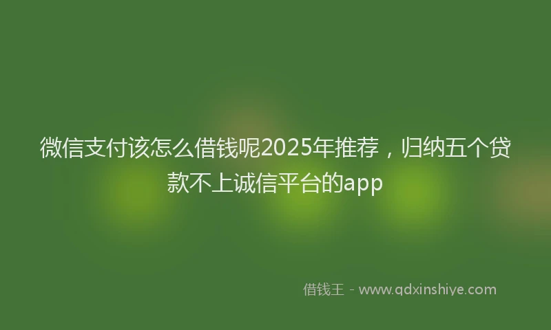 微信支付该怎么借钱呢2025年推荐，归纳五个贷款不上诚信平台的app