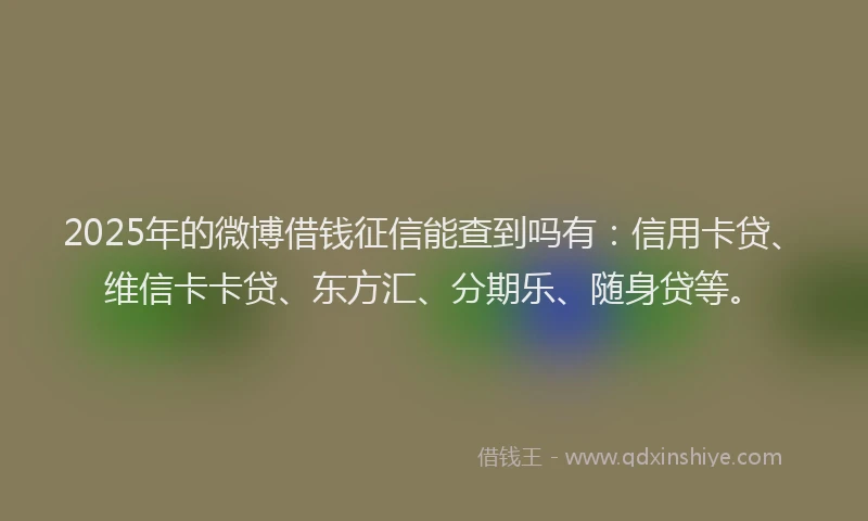 2025年的微博借钱征信能查到吗有：信用卡贷、维信卡卡贷、东方汇、分期乐、随身贷等。