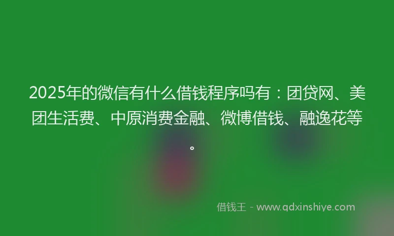 2025年的微信有什么借钱程序吗有：团贷网、美团生活费、中原消费金融、微博借钱、融逸花等。