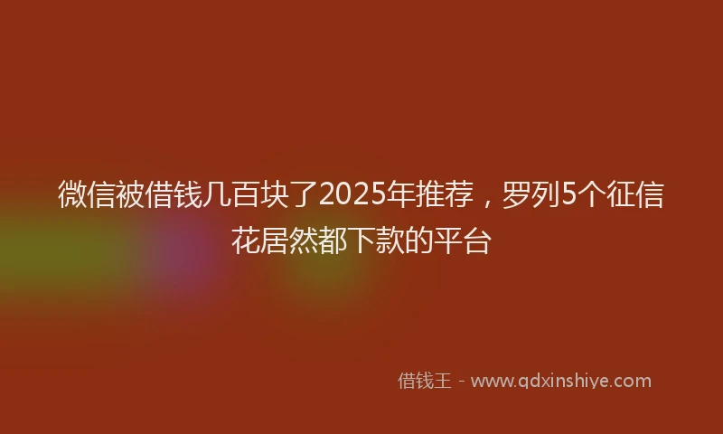 微信被借钱几百块了2025年推荐，罗列5个征信花居然都下款的平台