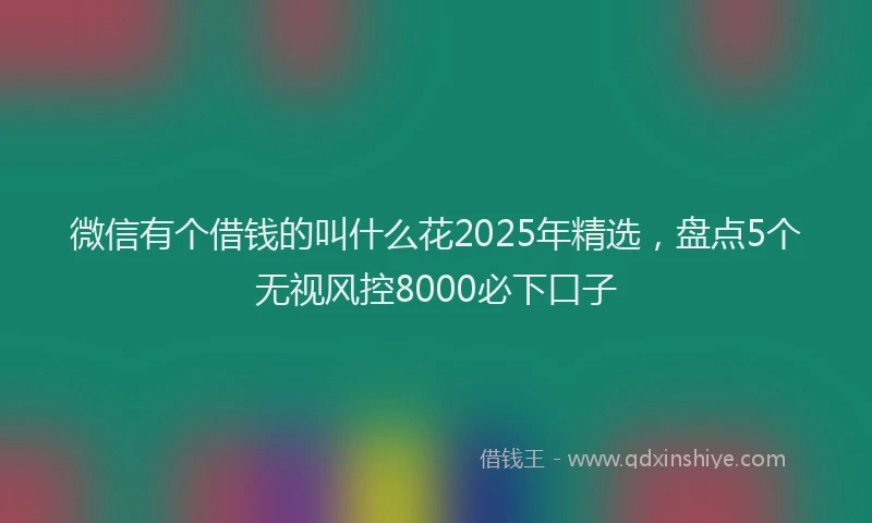微信有个借钱的叫什么花2025年精选，盘点5个无视风控8000必下口子
