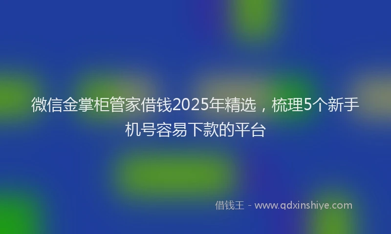 微信金掌柜管家借钱2025年精选，梳理5个新手机号容易下款的平台