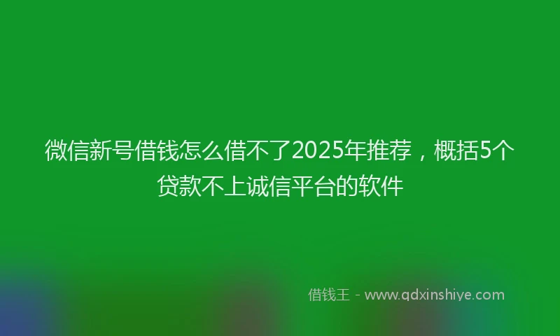 微信新号借钱怎么借不了2025年推荐，概括5个贷款不上诚信平台的软件