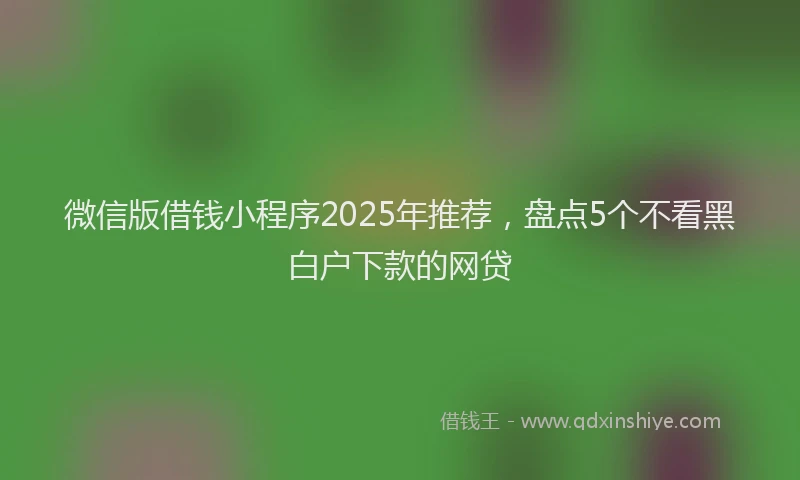 微信版借钱小程序2025年推荐，盘点5个不看黑白户下款的网贷