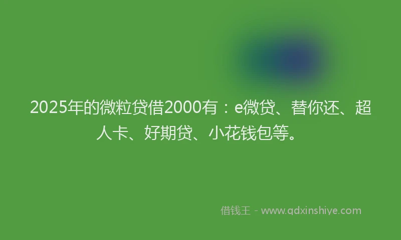 2025年的微粒贷借2000有：e微贷、替你还、超人卡、好期贷、小花钱包等。