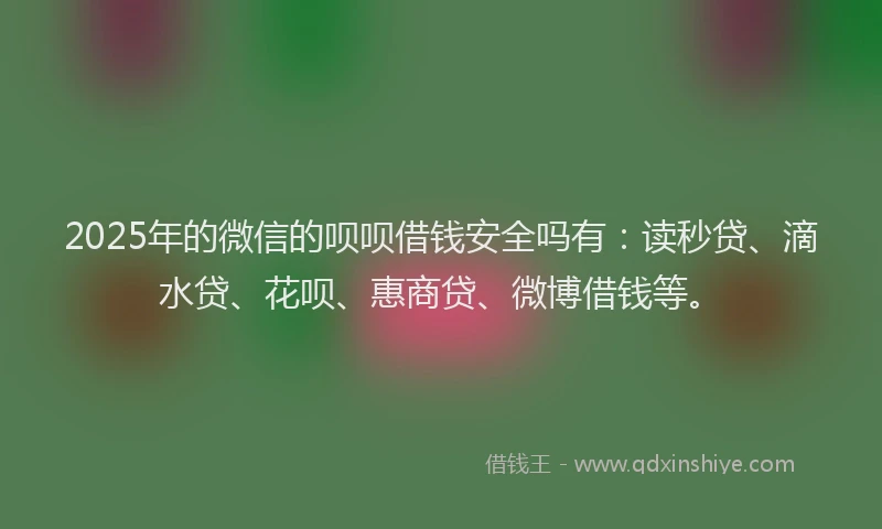 2025年的微信的呗呗借钱安全吗有:读秒贷、滴水贷、花呗、惠商贷、微博借钱等。