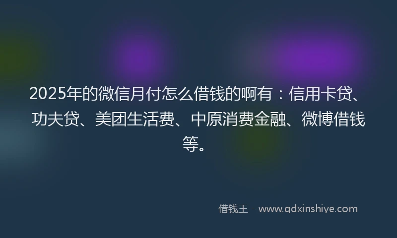 2025年的微信月付怎么借钱的啊有：信用卡贷、功夫贷、美团生活费、中原消费金融、微博借钱等。