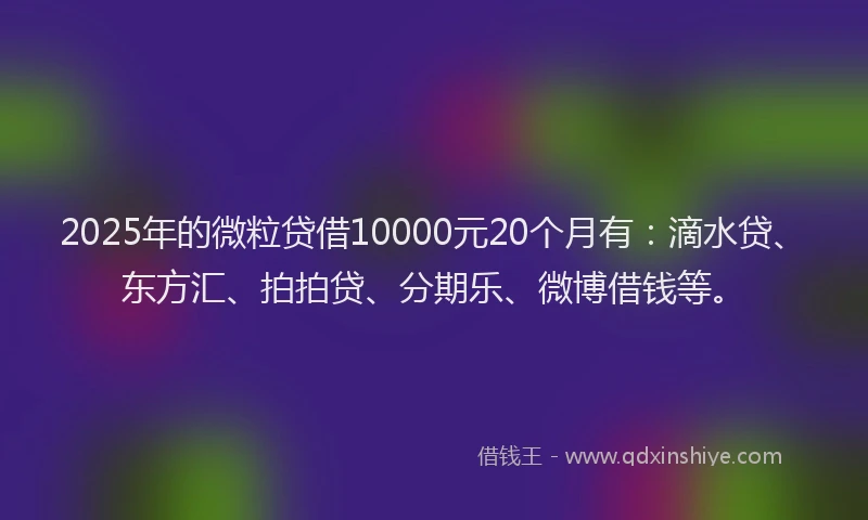2025年的微粒贷借10000元20个月有：滴水贷、东方汇、拍拍贷、分期乐、微博借钱等。