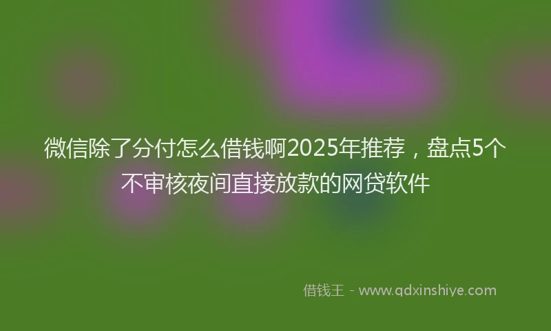 微信除了分付怎么借钱啊2025年推荐，盘点5个不审核夜间直接放款的网贷软件