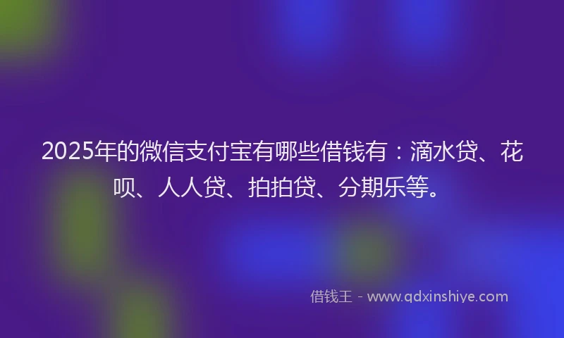 2025年的微信支付宝有哪些借钱有：滴水贷、花呗、人人贷、拍拍贷、分期乐等。