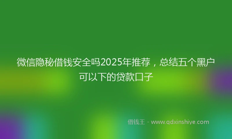 微信隐秘借钱安全吗2025年推荐，总结五个黑户可以下的贷款口子