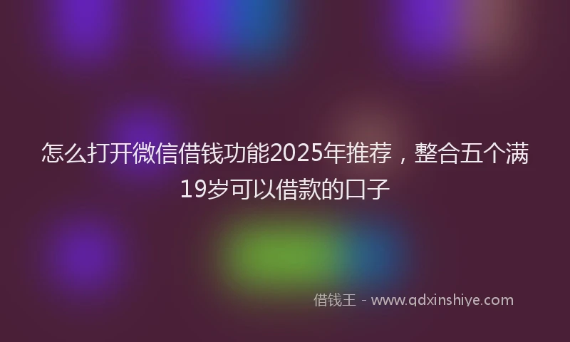 怎么打开微信借钱功能2025年推荐，整合五个满19岁可以借款的口子