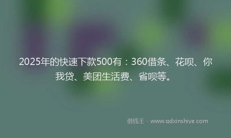 2025年的快速下款500有：360借条、花呗、你我贷、美团生活费、省呗等。