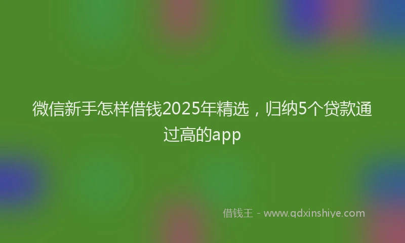 微信新手怎样借钱2025年精选，归纳5个贷款通过高的app