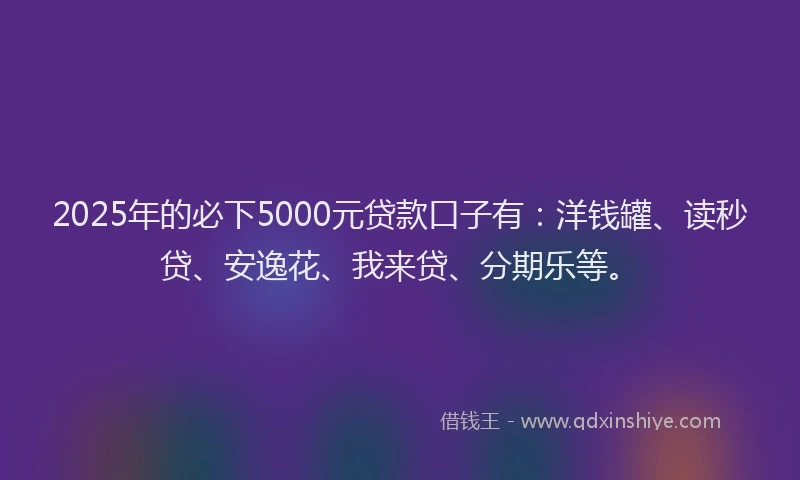 2025年的必下5000元贷款口子有：洋钱罐、读秒贷、安逸花、我来贷、分期乐等。