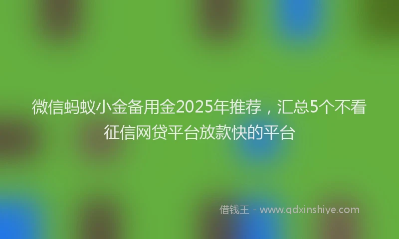 微信蚂蚁小金备用金2025年推荐，汇总5个不看征信网贷平台放款快的平台