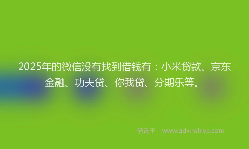 2025年的微信没有找到借钱有：小米贷款、京东金融、功夫贷、你我贷、分期乐等。