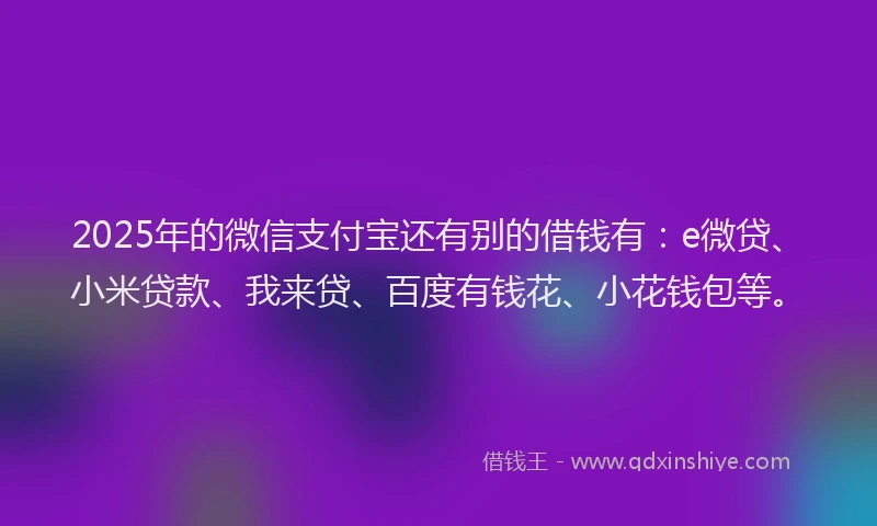 2025年的微信支付宝还有别的借钱有：e微贷、小米贷款、我来贷、百度有钱花、小花钱包等。