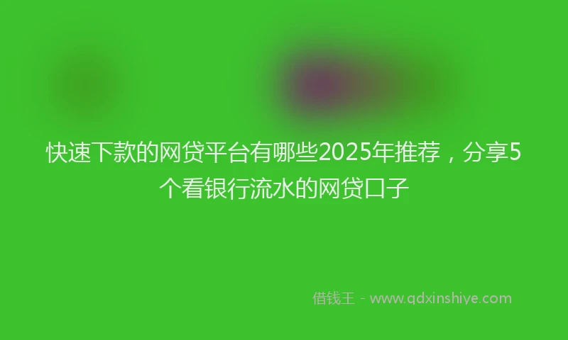 快速下款的网贷平台有哪些2025年推荐，分享5个看银行流水的网贷口子