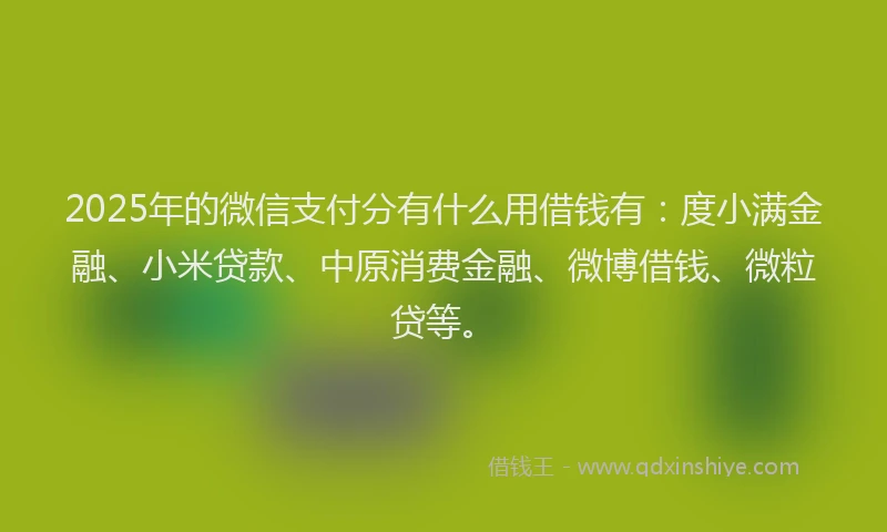 2025年的微信支付分有什么用借钱有:度小满金融、小米贷款、中原消费金融、微博借钱、微粒贷等。