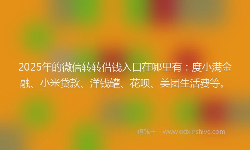 2025年的微信转转借钱入口在哪里有：度小满金融、小米贷款、洋钱罐、花呗、美团生活费等。