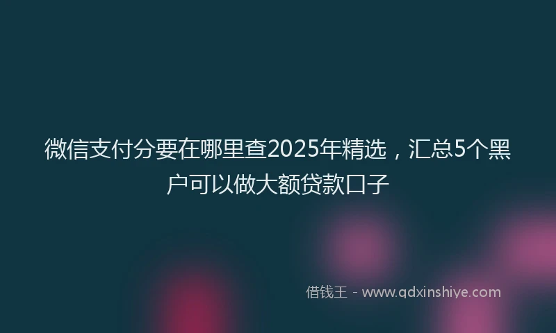 微信支付分要在哪里查2025年精选，汇总5个黑户可以做大额贷款口子