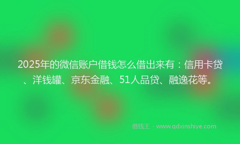 2025年的微信账户借钱怎么借出来有：信用卡贷、洋钱罐、京东金融、51人品贷、融逸花等。