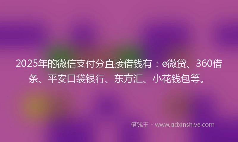 2025年的微信支付分直接借钱有：e微贷、360借条、平安口袋银行、东方汇、小花钱包等。