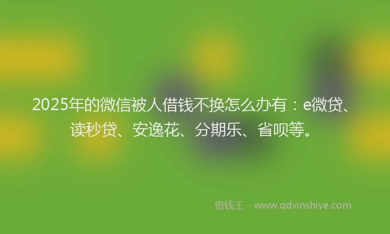 2025年的微信被人借钱不换怎么办有：e微贷、读秒贷、安逸花、分期乐、省呗等。