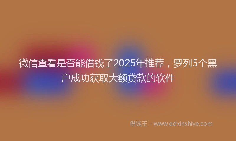 微信查看是否能借钱了2025年推荐，罗列5个黑户成功获取大额贷款的软件
