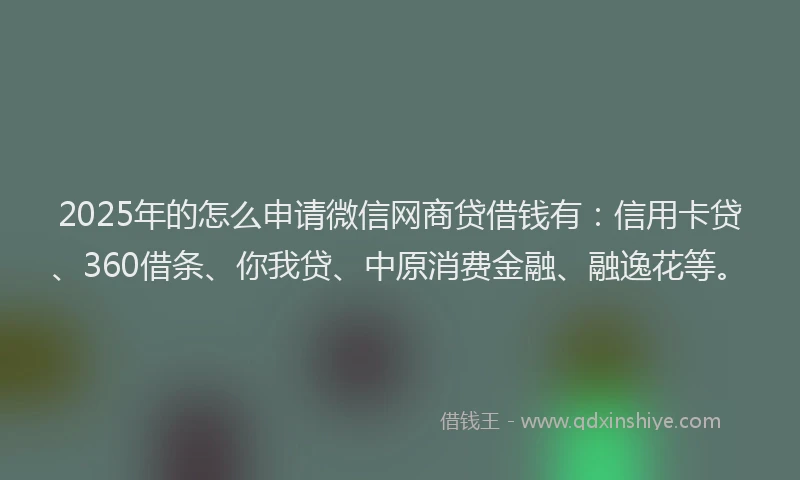 2025年的怎么申请微信网商贷借钱有：信用卡贷、360借条、你我贷、中原消费金融、融逸花等。