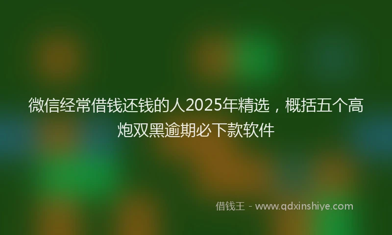微信经常借钱还钱的人2025年精选，概括五个高炮双黑逾期必下款软件