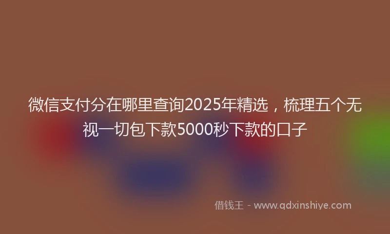 微信支付分在哪里查询2025年精选，梳理五个无视一切包下款5000秒下款的口子