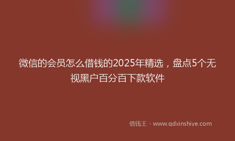 微信的会员怎么借钱的2025年精选，盘点5个无视黑户百分百下款软件