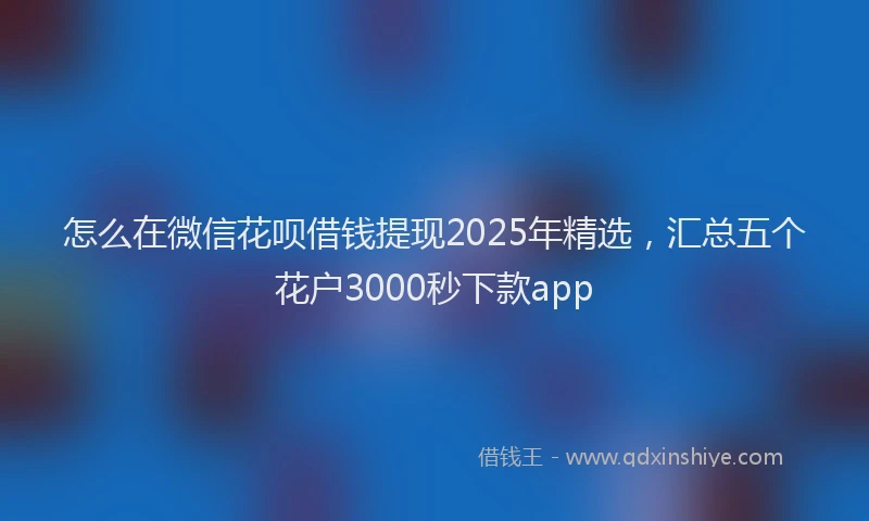 怎么在微信花呗借钱提现2025年精选，汇总五个花户3000秒下款app