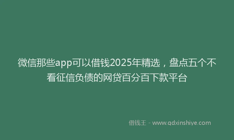 微信那些app可以借钱2025年精选，盘点五个不看征信负债的网贷百分百下款平台