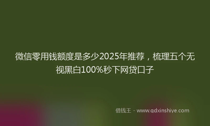 微信零用钱额度是多少2025年推荐，梳理五个无视黑白100%秒下网贷口子
